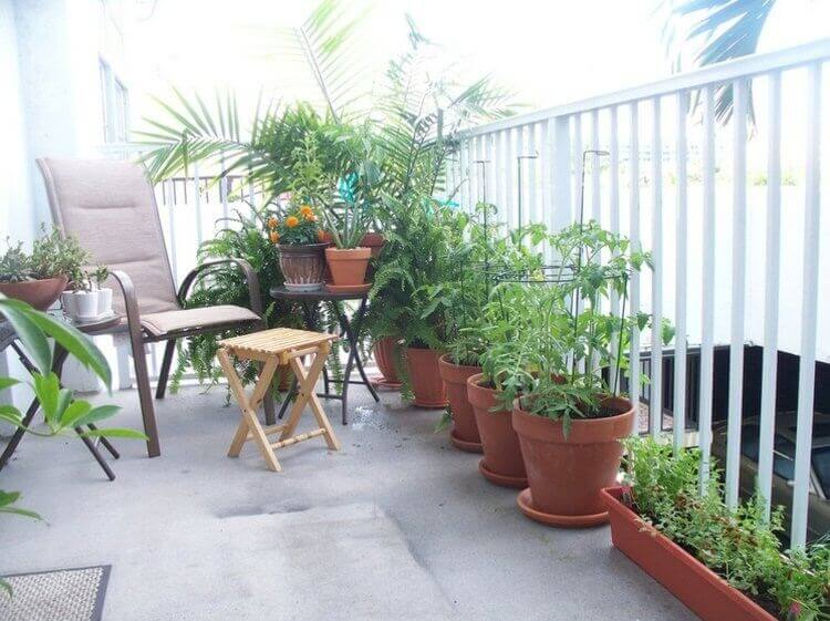 Bí quyết trồng rau sạch ở ban công đủ ăn quanh năm cho cả gia đình
