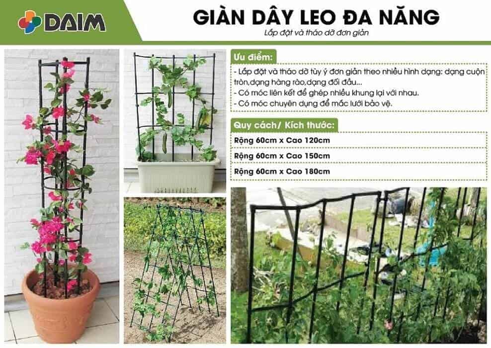 15 Cách Tạo Giàn Cây Leo xanh tươi bắt mắt cho Khu Vườn Nhà Phố  Vườn Rau  Phố