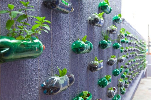 cách làm chậu tái chế từ chai nhựa