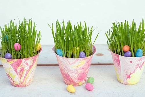 Chậu cây trồng rau mầm xinh xắn trang trí trên ban công