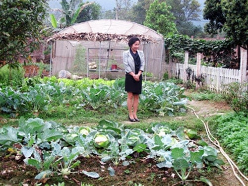Vườn rau sạch của Mỹ Linh