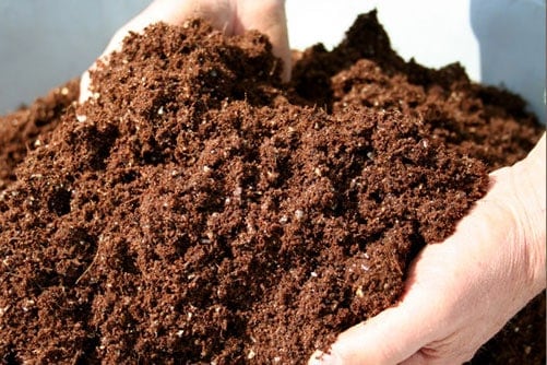 Chuẩn bị giá thể để gieo hạt