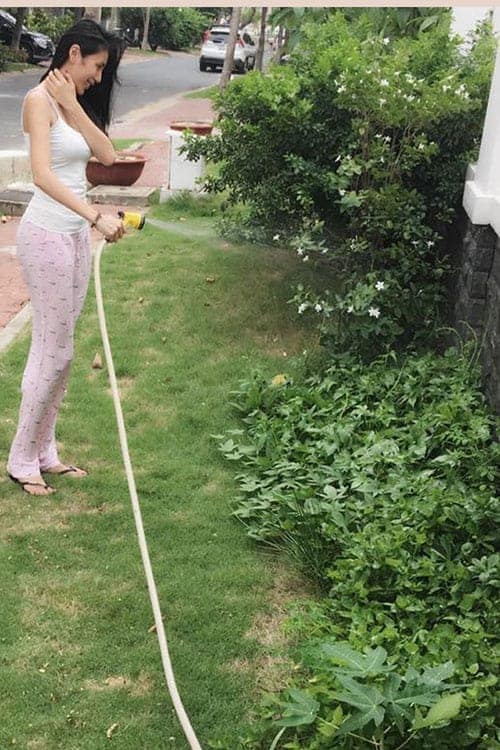 Vườn rau sạch thích mắt của vợ chồng Thủy Tiên