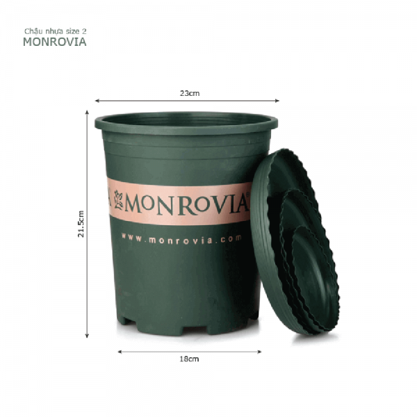 Chậu nhựa trồng cây Monrovia cao cấp size 2