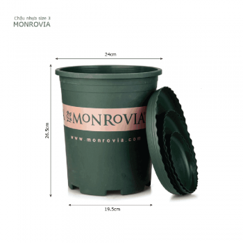 Chậu nhựa trồng cây Monrovia cao cấp size 3