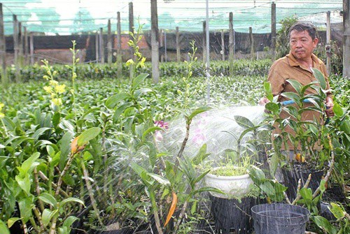 Tưới lan tự động có những lợi ích gì?