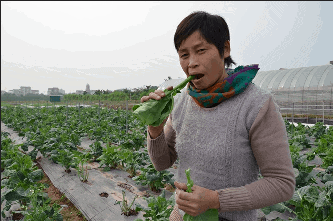 HÌnh ảnh chị Cuối tự tin ăn rau sạch do mình trồng