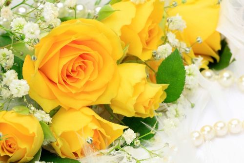 Trong thời hiện đại, hoa hồng vàng tượng trưng cho tình bạn chân thành, tình yêu ấm áp