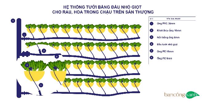 Mô hình hệ thống tưới nhỏ giọt tự động