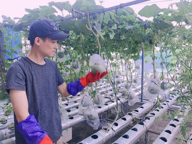 Mô hình trồng rau thủy canh của chàng sinh viên Hoàng Quốc Thịnh