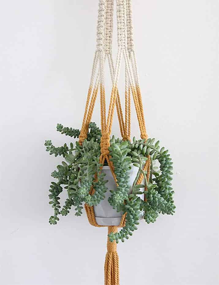 Chậu cây được treo bằng móc treo đan lưới