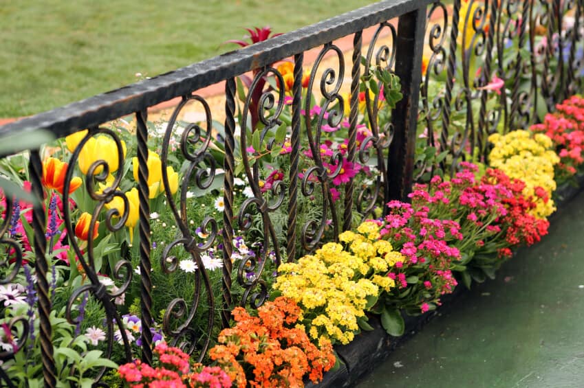Các mẫu tường rào hoa leo giúp mùa hè thêm tươi mát 24