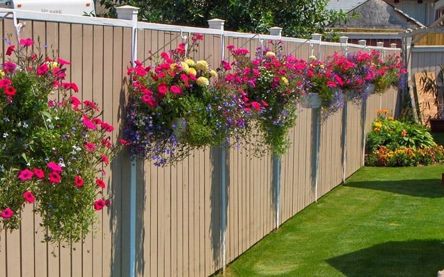 Các mẫu tường rào hoa leo giúp mùa hè thêm tươi mát 25