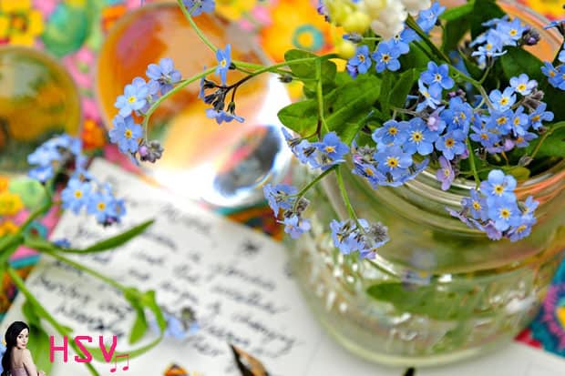 Những loại hoa có màu xanh dương tuyệt đẹp – Hoa lưu ly