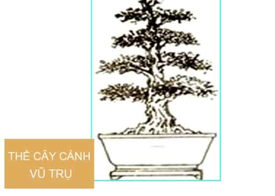 Những thế cây bonsai đẹp –  Thế vũ trụ