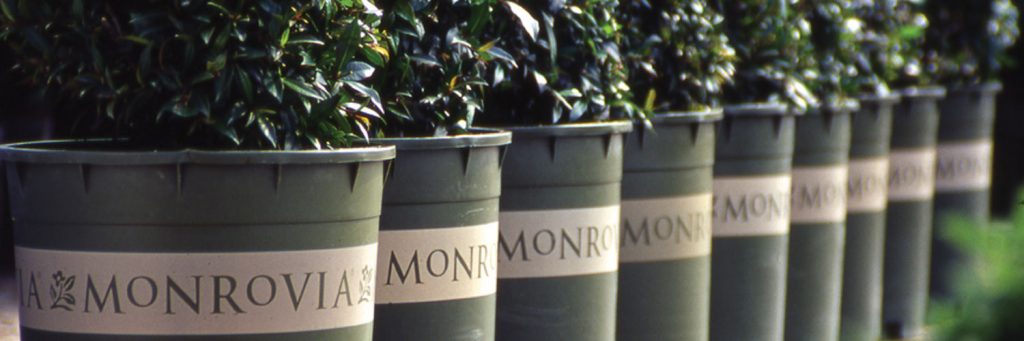 Monrovia Vietnam banner