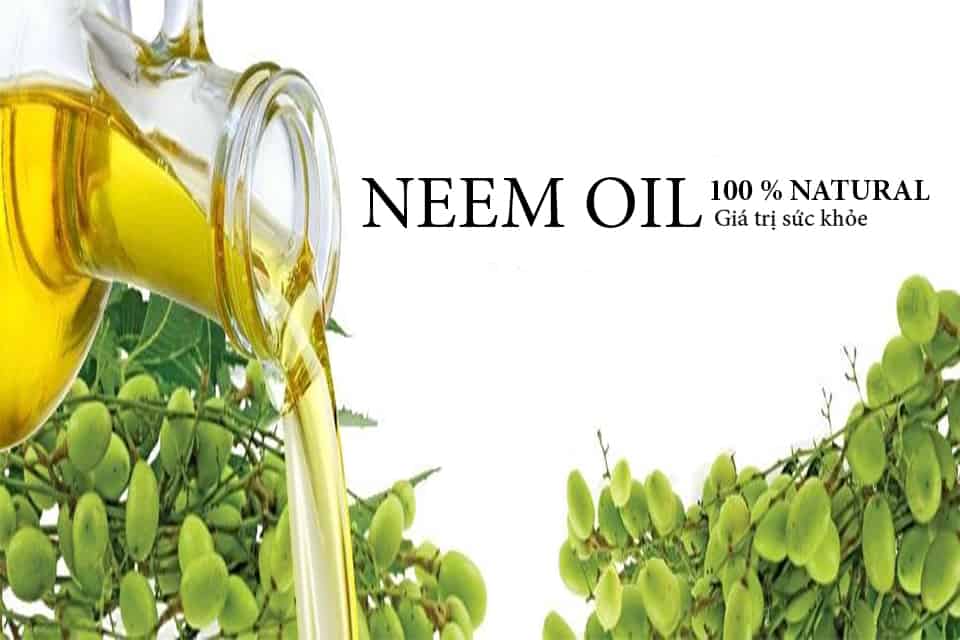 tác dụng dầu neem