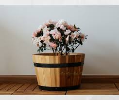các dạng chậu gỗ cho hoa hồng đẹp 6