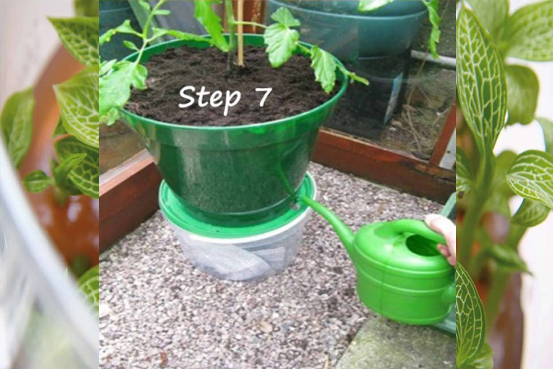 Làm chậu trồng cây tự tưới nước đơn giản và hiệu quả