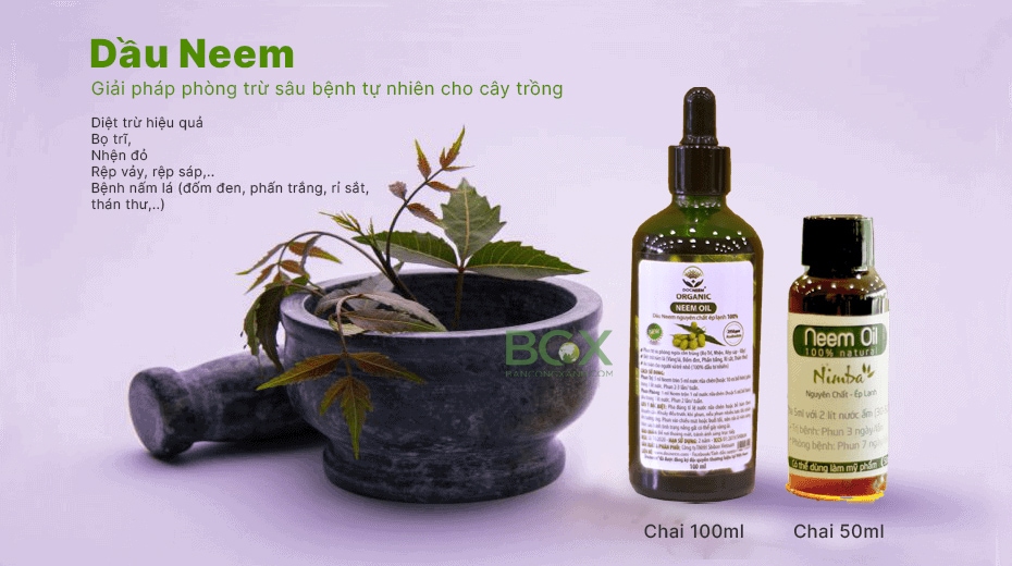 Dầu neem trị sâu bệnh BCX