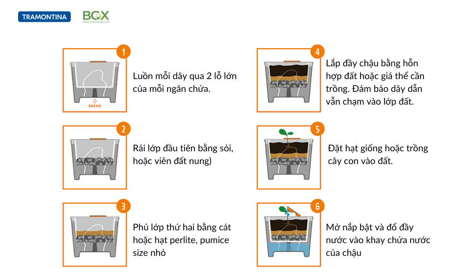 cách sử dụng chậu tự tưới