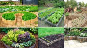 cách làm vườn rau hữu cơ
