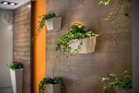 Ứng dụng cây xanh văn phòng cùng với các loại cây treo, gắn tường