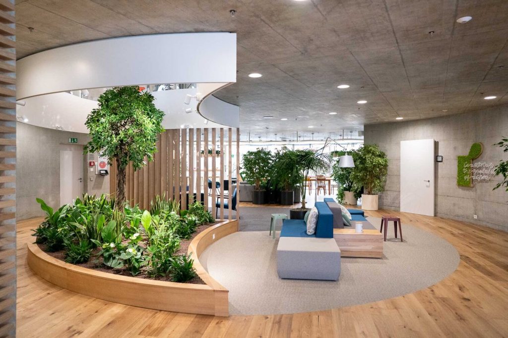 Thiết kế Biophilic - Ứng dụng cây xanh văn phòng vào thiết kế nơi làm việc