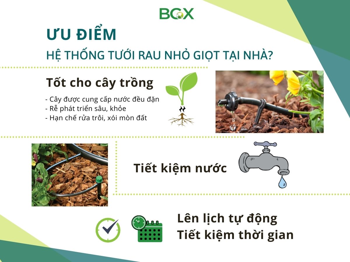 hệ thống tưới rau nhỏ giọt 3