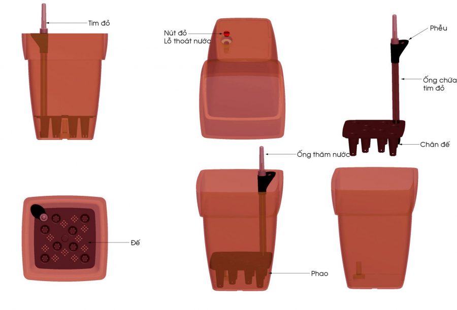 Trồng cây trầu bà lá xẻ bằng chậu tự tưới 