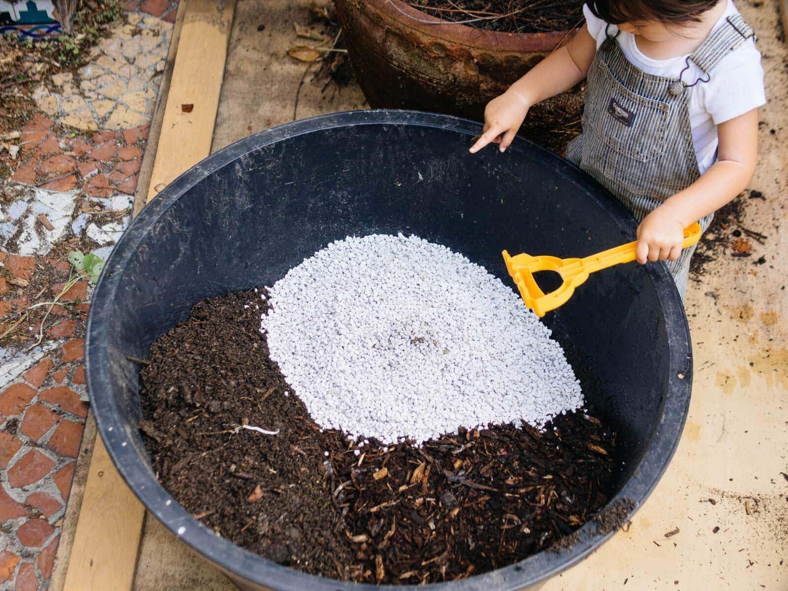 Cách sử dụng đá Perlite khi trồng cây kiểng, cây trong nhà