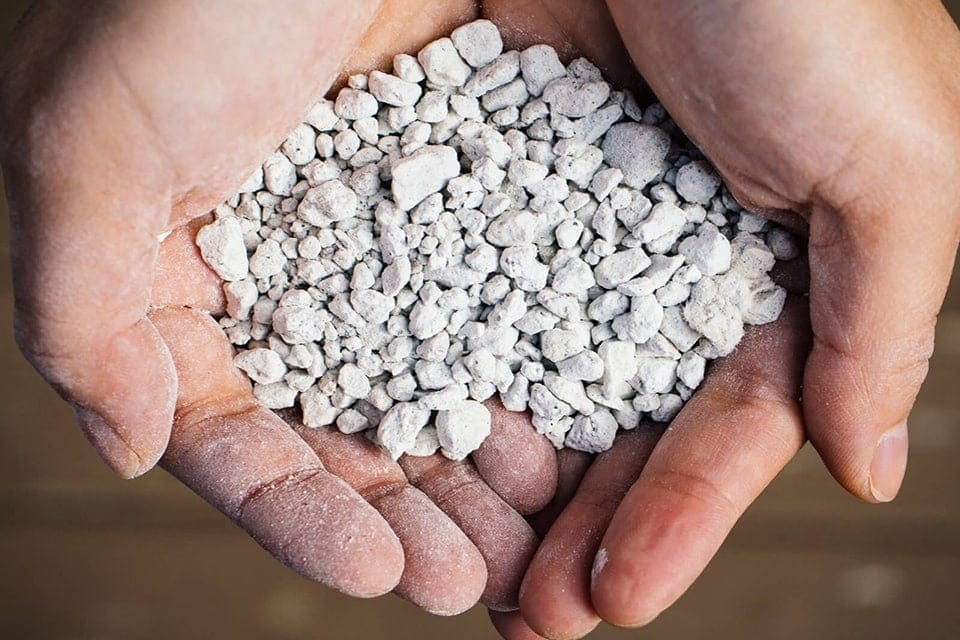 Phân biệt đá Perlite và Pumice 