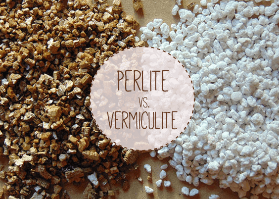 Phân biệt đá Perlite và Vermiculite - khái niệm