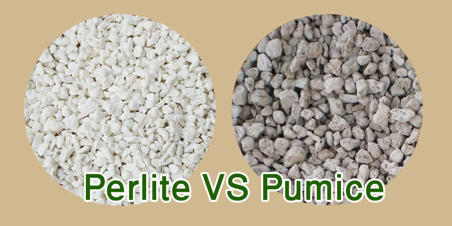 Phân biệt đá Perlite và Pumice - khái niệm