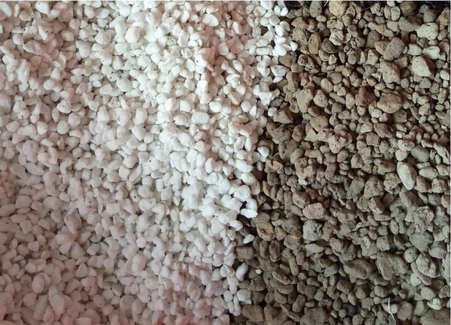 Phân biệt đá Perlite và Pumice qua màu sắc