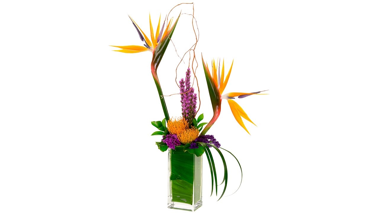 Làm cho những bông hoa của bạn trở nên sống động với 5 cách cắm hoa Bird of Heaven nghệ thuật này.