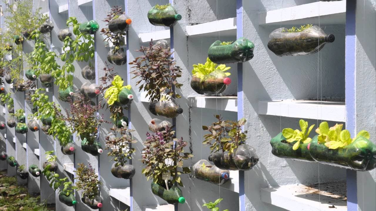 Ý tưởng F5 sân vườn thêm đẹp bằng đồ tái chế 1