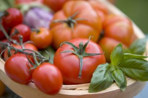 Cách trồng cà chua trên sân thượng sai quả ăn cả năm không hết