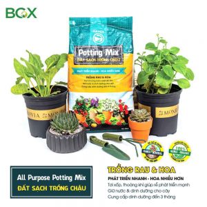 Mua đất trồng cây trong chậu quận 7