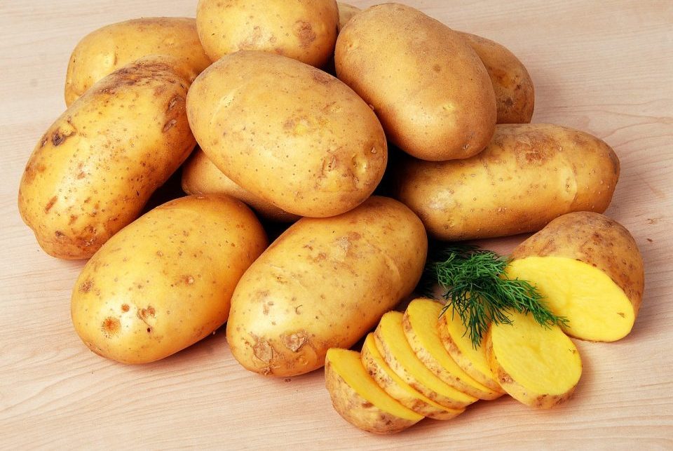 Trồng khoai tây trên sân thượng siêu dinh dưỡng