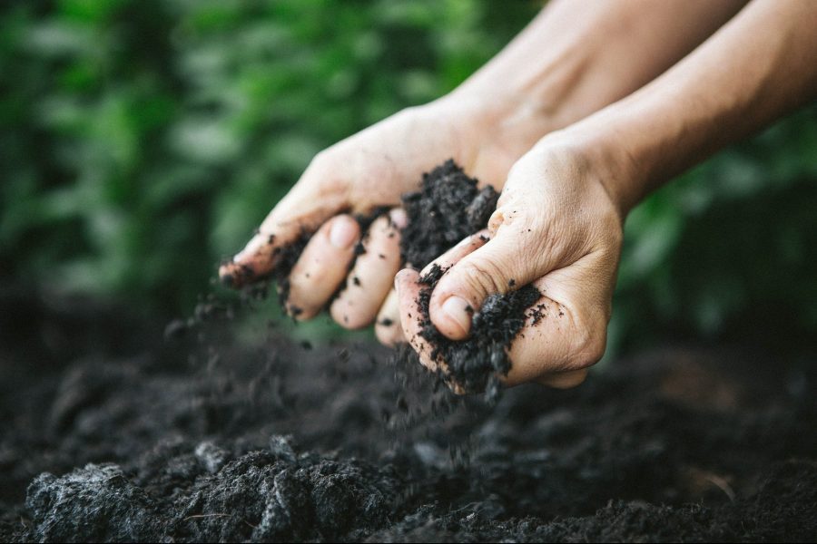 Top 5 các biện pháp cải tạo đất nhiễm chua hiệu quả cho nhà vườn 3