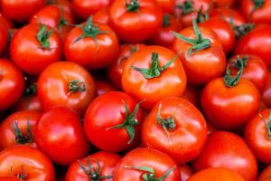 Tìm hiểu chung về hạt giống cà chua